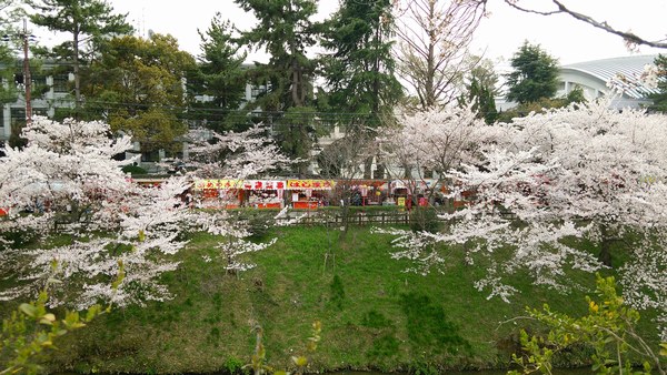 f0221708_1628582.jpg