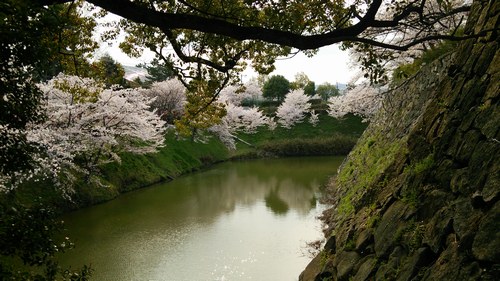 f0221708_16391789.jpg