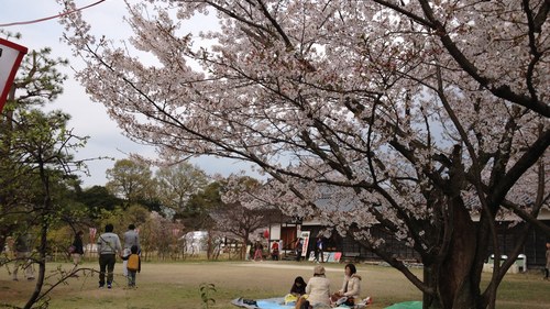 f0221708_17223259.jpg
