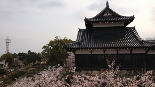 f0221708_1723072.jpg