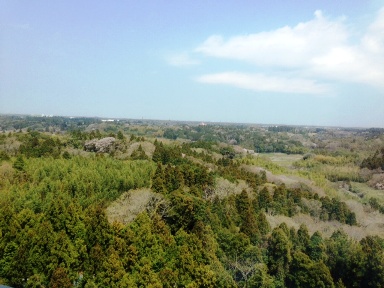 b0083417_18461329.jpg