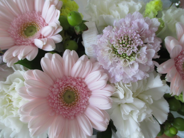 e0130722_23143181.jpg