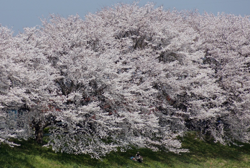a0304423_07224484.jpg