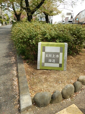 f0106823_9565863.jpg
