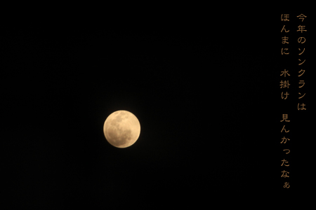d0042827_019762.jpg