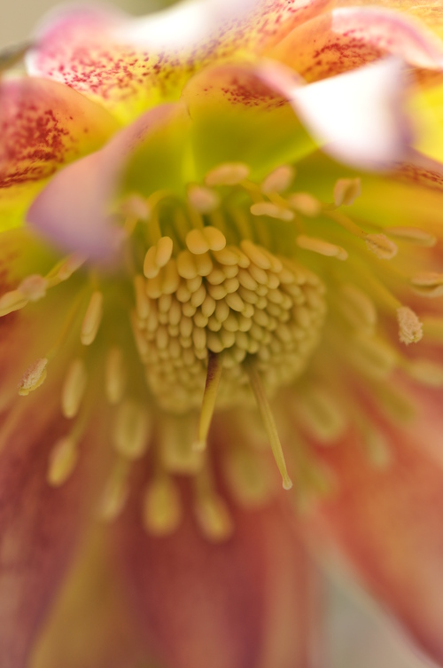 a0248728_223645100.jpg