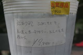 c0199728_01290449.jpg