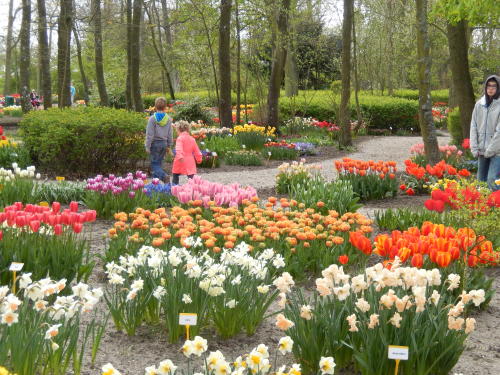 f0329429_16404591.jpg