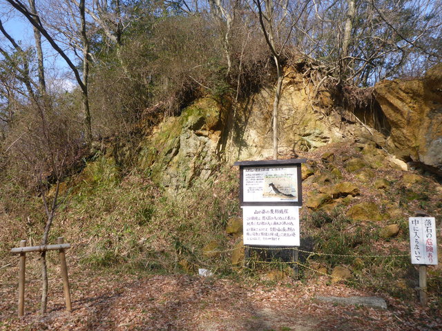 b0136931_17165425.jpg