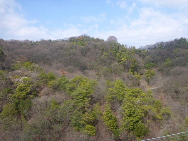 b0136931_17224254.jpg