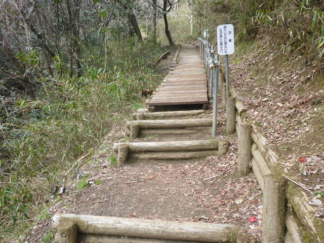 b0136931_1723335.jpg