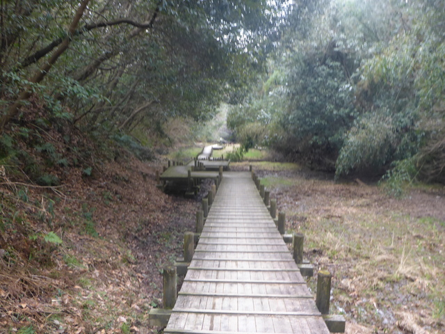 b0136931_17241520.jpg