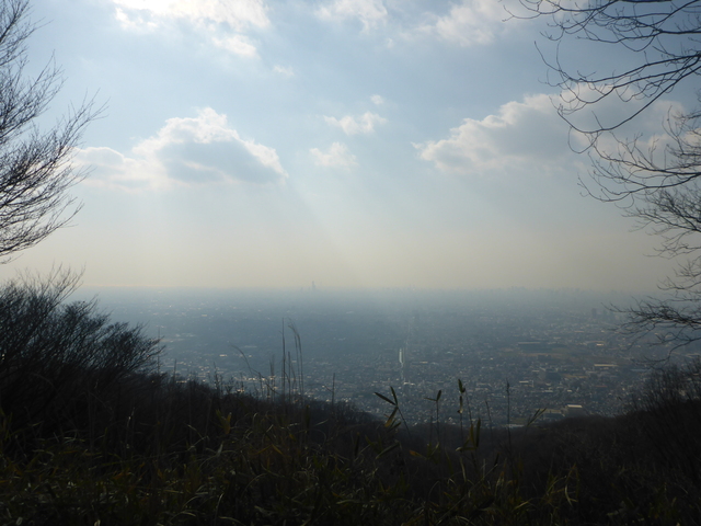 b0136931_1726125.jpg