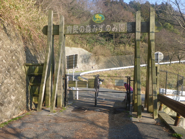b0136931_17263174.jpg
