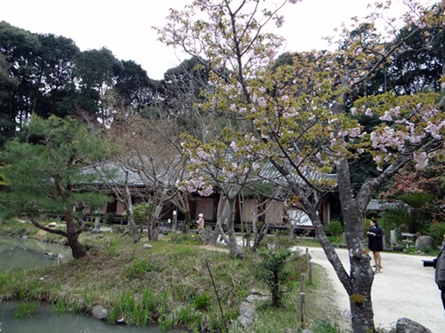 d0037233_1124389.jpg