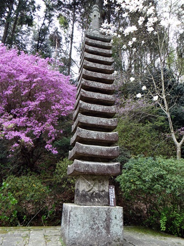 d0037233_1135384.jpg