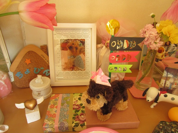 f0002833_1756786.jpg