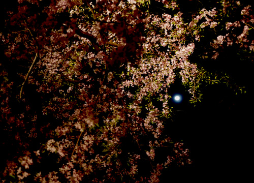 b0035734_15375090.jpg