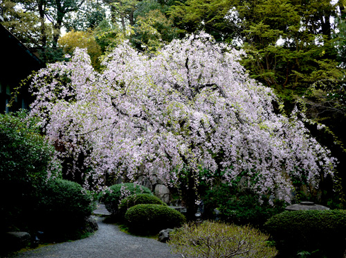 b0035734_15384840.jpg