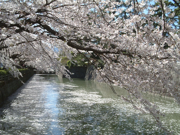 b0042837_21393544.jpg