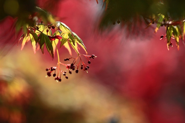 a0242438_19285940.jpg