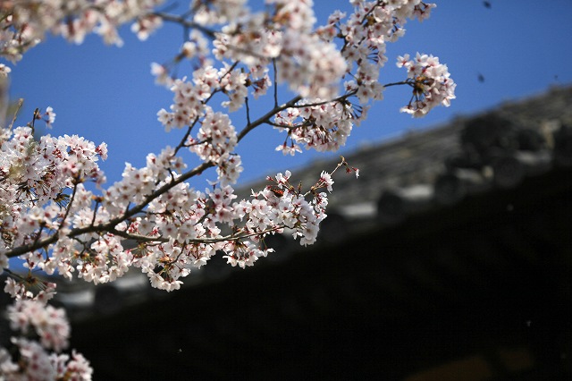 a0242438_19291389.jpg