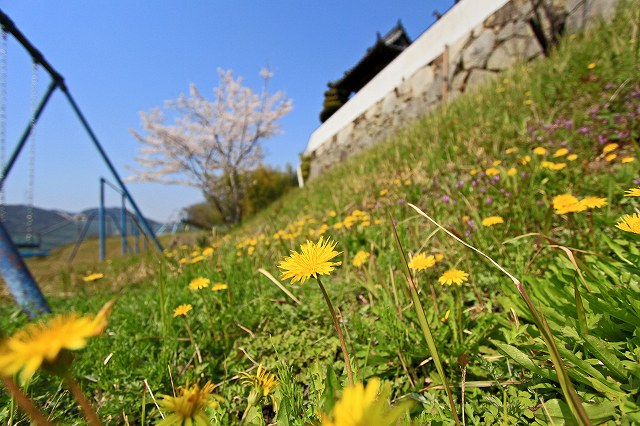 a0242438_1929923.jpg