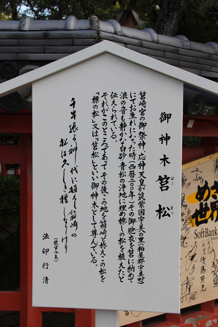 c0011649_2230224.jpg