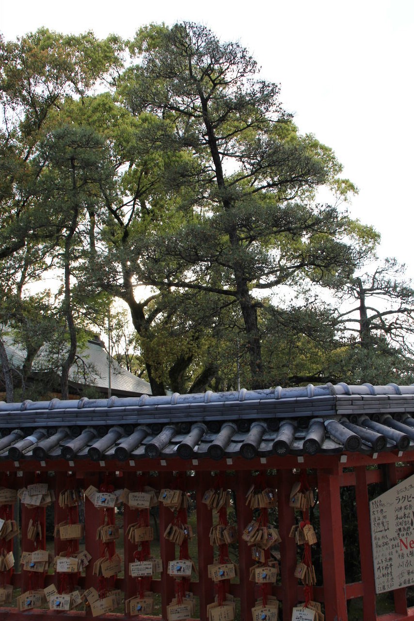 c0011649_22312249.jpg