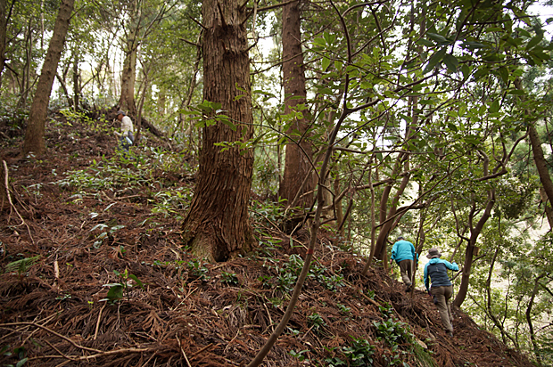 f0214649_4303216.jpg
