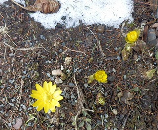 e0004756_200381.jpg