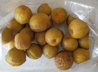 e0004756_20141457.jpg