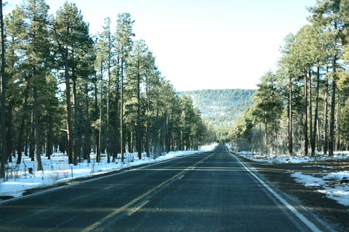 c0308559_22592077.jpg