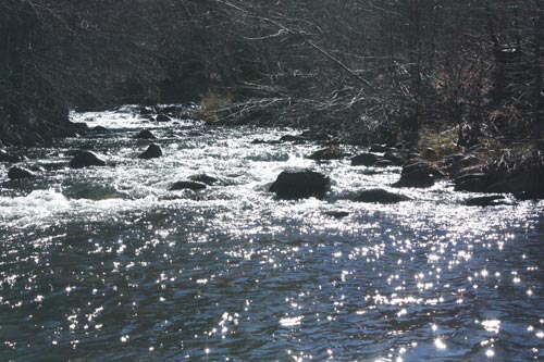 c0308559_2311314.jpg