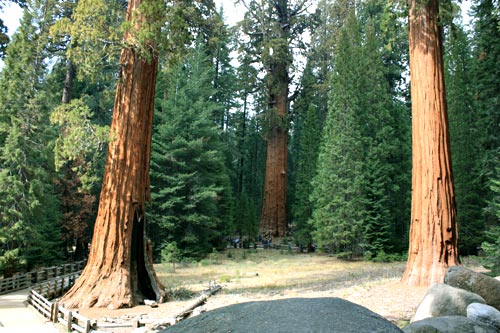 c0308559_935309.jpg
