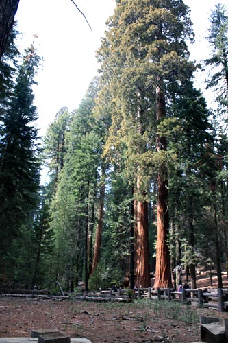 c0308559_935560.jpg