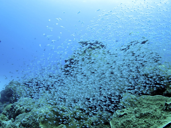 b0062363_20115824.jpg