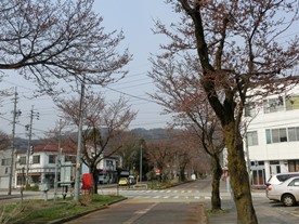 b0218664_1824416.jpg