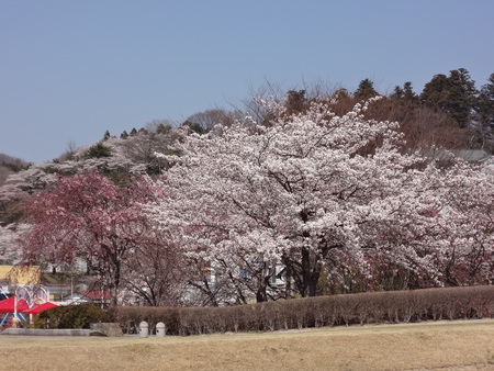 b0084468_2231890.jpg