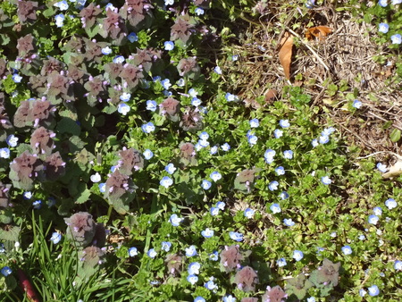 b0084468_22327100.jpg