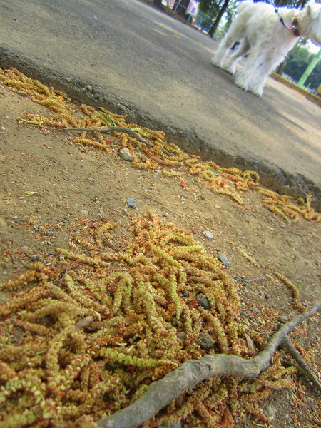 d0264176_207089.jpg