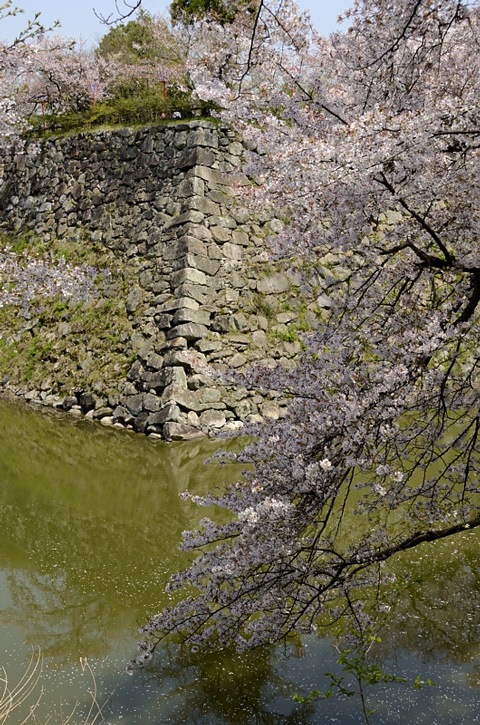 f0108478_2239281.jpg
