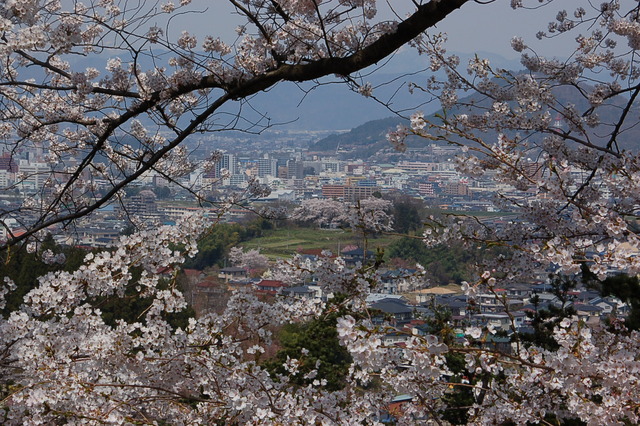 b0203588_21165251.jpg