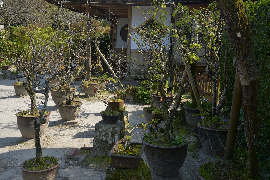 c0240388_848238.jpg