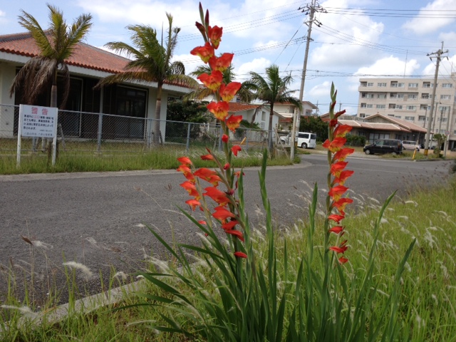 c0064389_12211169.jpg