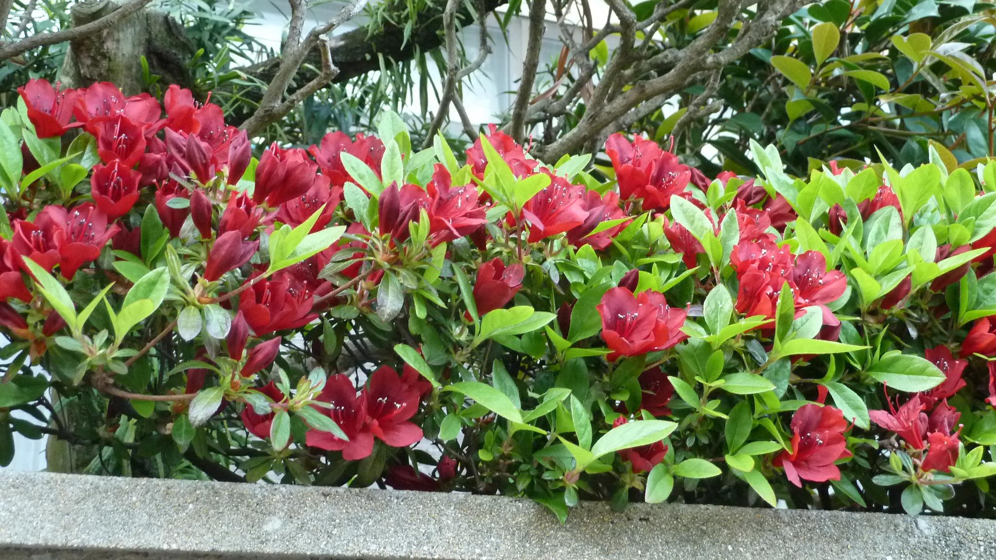 f0166694_1911647.jpg