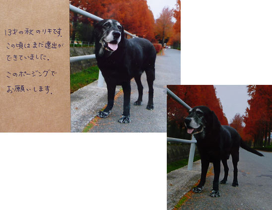 d0282395_20413176.png