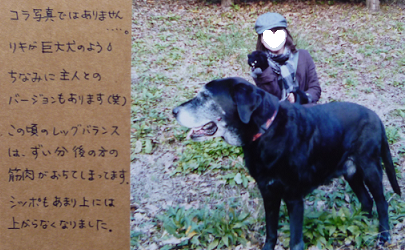 d0282395_20443820.png