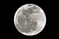 b0188998_22361036.jpg
