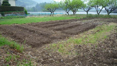 f0146802_1812552.jpg